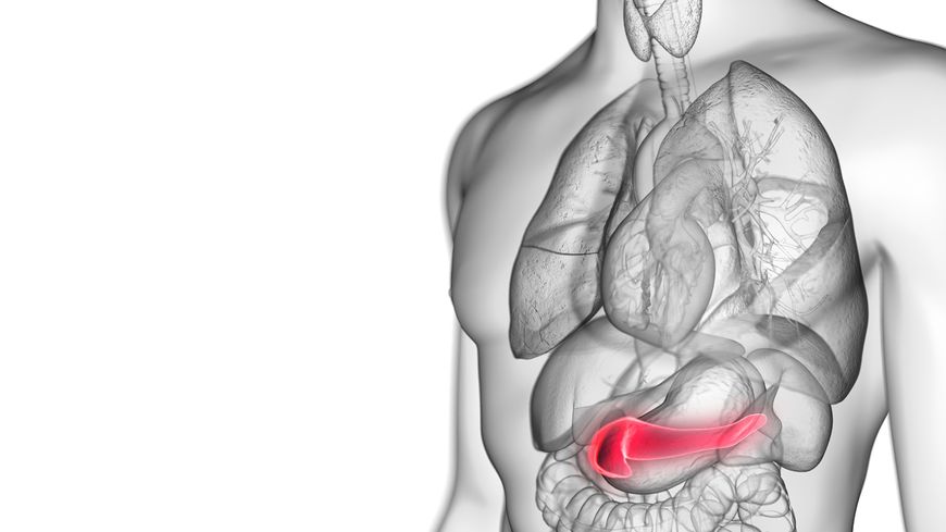 Pour le cancer du pancréas, depuis toujours, les bonnes nouvelles sont rares