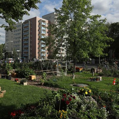 Un jardin urbain à Berlin