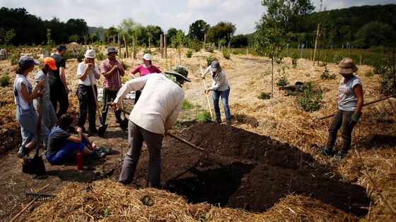 Ferme du Bec Hellouin ©AFP - CHARLY TRIBALLEAU