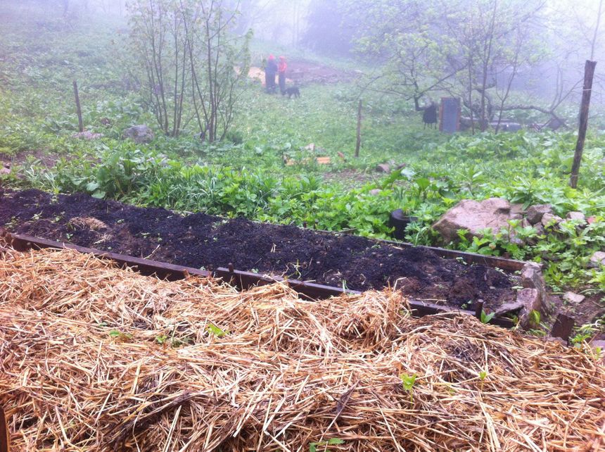Les jardins participatifs à Chamrousse