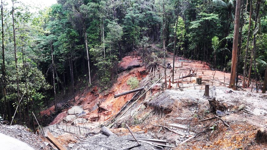 La forêt dévastée par orpaillage illégal à Cacao, à 70 km de Cayenne