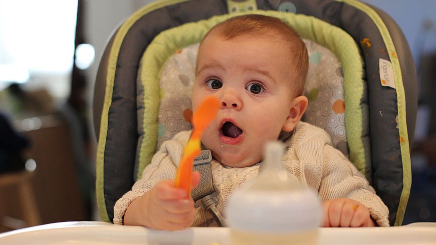 Lait, oeufs, huile... le bio est parfois bourré de perturbateurs endocriniens notamment