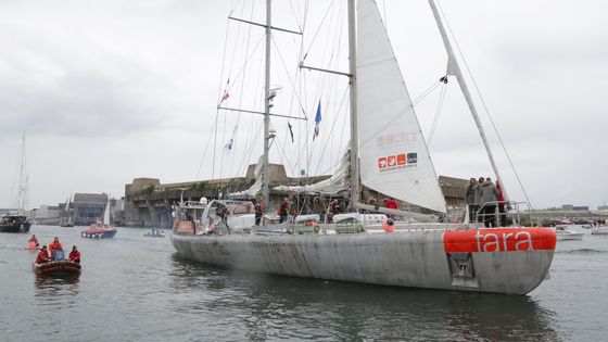 Samedi 8 mai : Journée mondiale de l’océan. Une nouvelle "mission microplastiques" pour la goélette Tara. ©Maxppp - PHOTOPQR/LE TELEGRAMME ; PHOTO FRANCOIS DESTOC / LE TELEGRAMME LORIENT