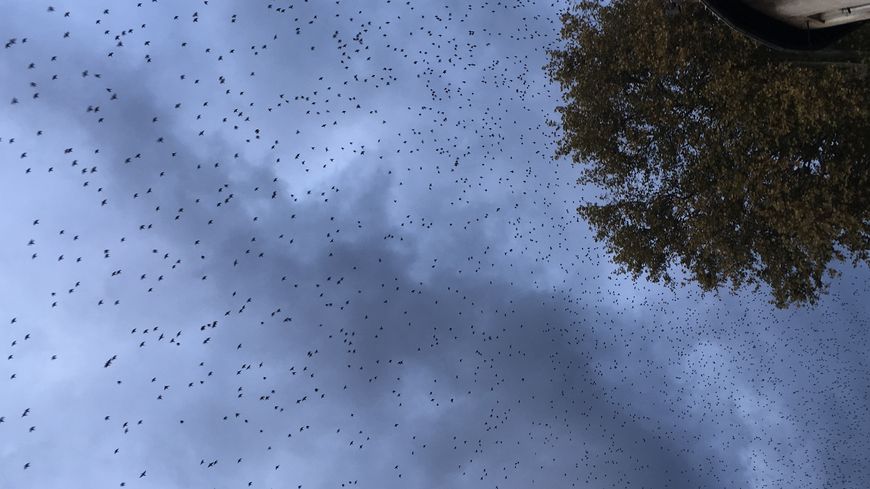 Dans le ciel d'Orange