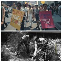 Photo 1 : Yigal Mann/Pix/Michael Ochs Archives // Photo 2 : David Porter/Fairfax Media