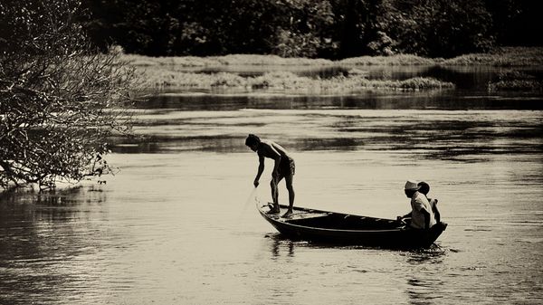 Le Brésil, la Musique et le Monde : #07 Les Apprentis touristes (de l’Amazonie au Nordeste)