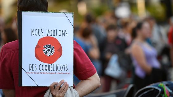 Manifestation du mouvement des coquelicots ©AFP - Damien Meyer