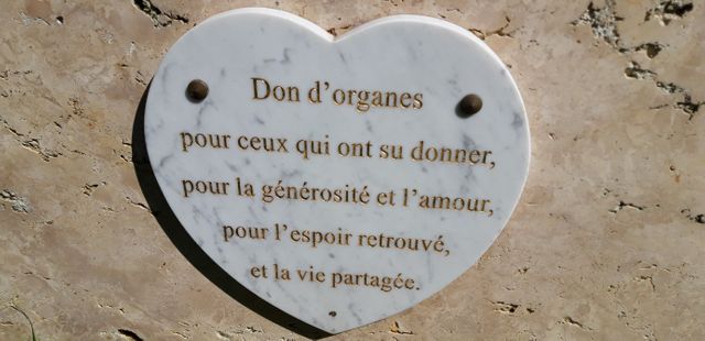 À l'hôpital Cochin, à Paris, cette plaque rend hommage aux donneurs d'organes