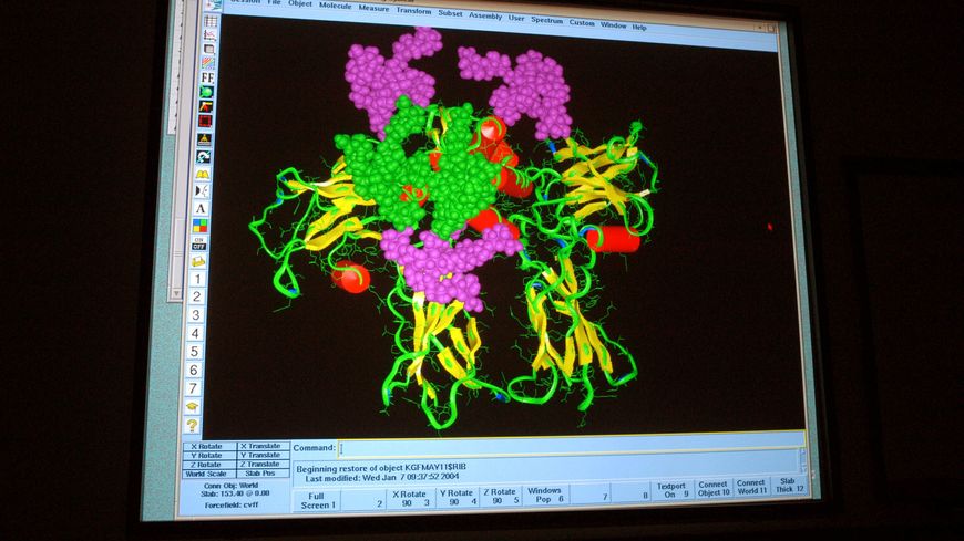 A protein bound to a receptor is show in the Molecular Graphis Lab at Amgen headquarters in Thousand Oaks, California.