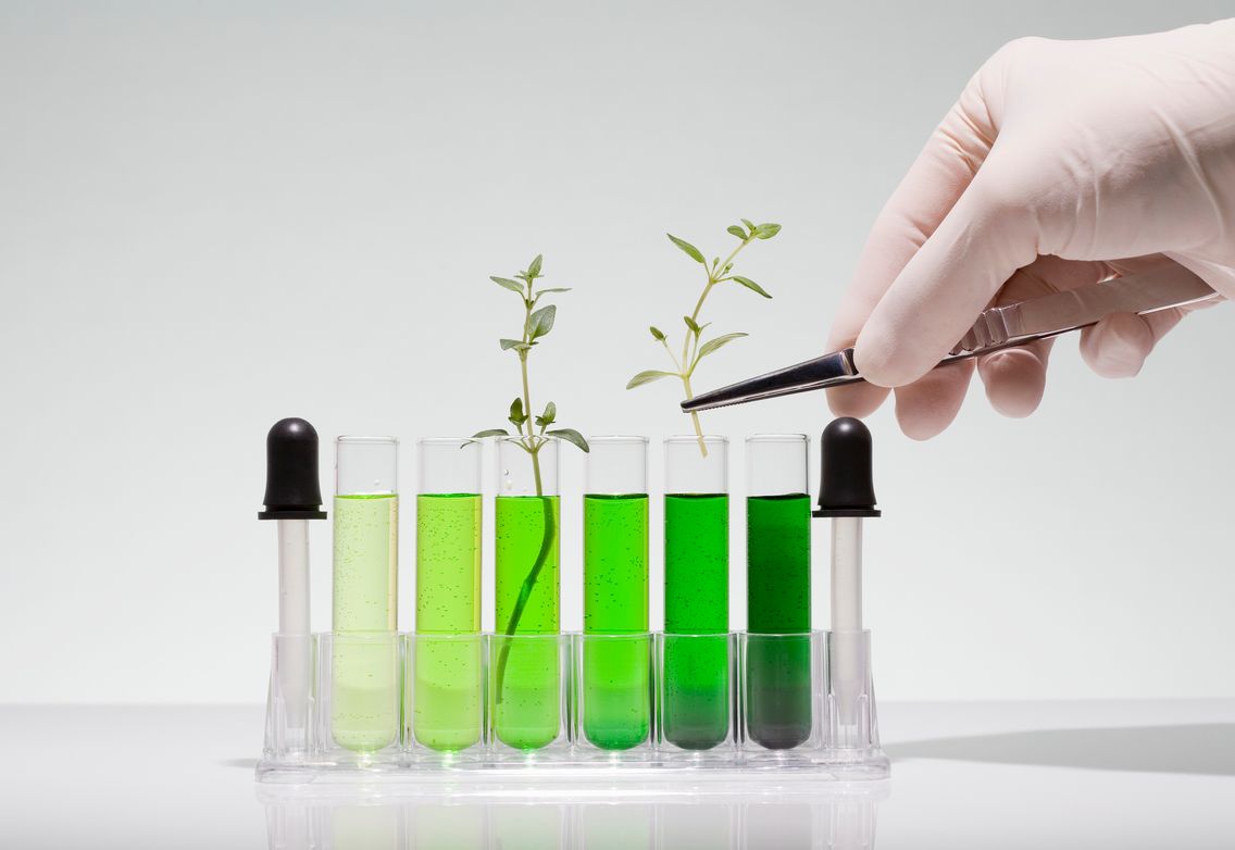 Les Promesses De La Chimie Verte Les Promesses De La Chimie Verte