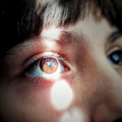 La résilience, ou comment passer du noir à la lumière