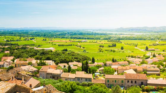 Vue depuis Château-neuf-du-Pape dans le Vaucluse, France ©Getty - Spooh