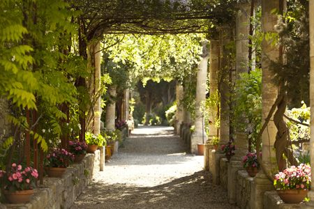 Dans le jardin remarquable de l'abbaye Saint André