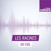 Les Racines du ciel