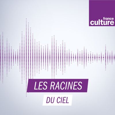 Les Racines du ciel