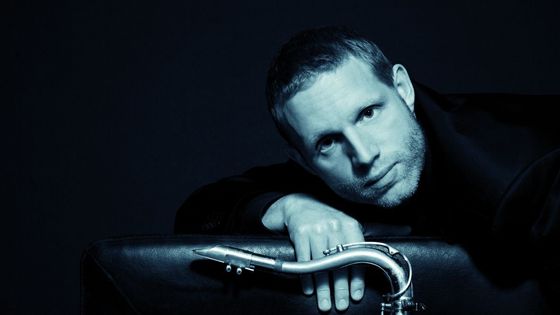 Jan Harbeck - Stephen Freiheit