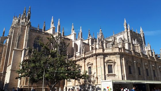 Séville a enregistré depuis la diffusion de la série une progression de 38% des demandes d’hébergements touristiques. ©Radio France - Philippe Lefèbvre