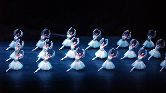 Représentation de La Bayère ©Getty - Ann Johansson/Corbis