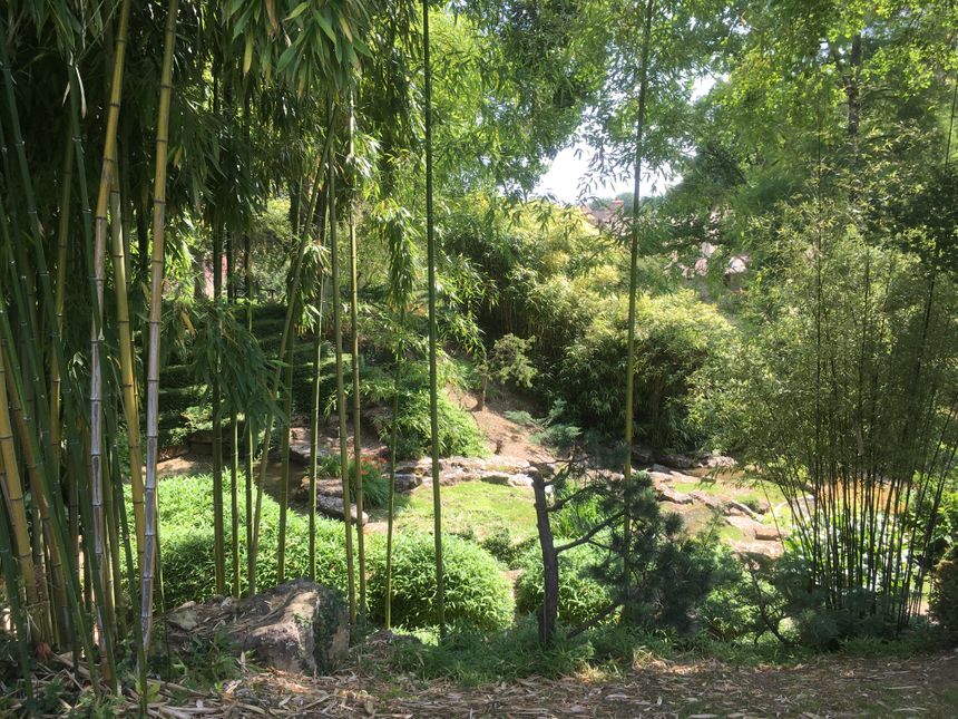 Le parc floral d'Apremont sur Allier à été créé sur l'emplacement d'une prairie ou paissaient des vaches