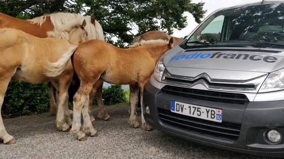 Lætitia Bernard, non-voyante, réalise l'intégralité des étapes du Tour de France en tandem ! ©Radio France - Nicolas Mathias
