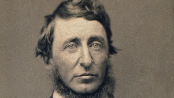 Portrait de Henry David Thoreau par Benjamin D. Maxham, daguerréotype daté de 1856 - Wikicommons