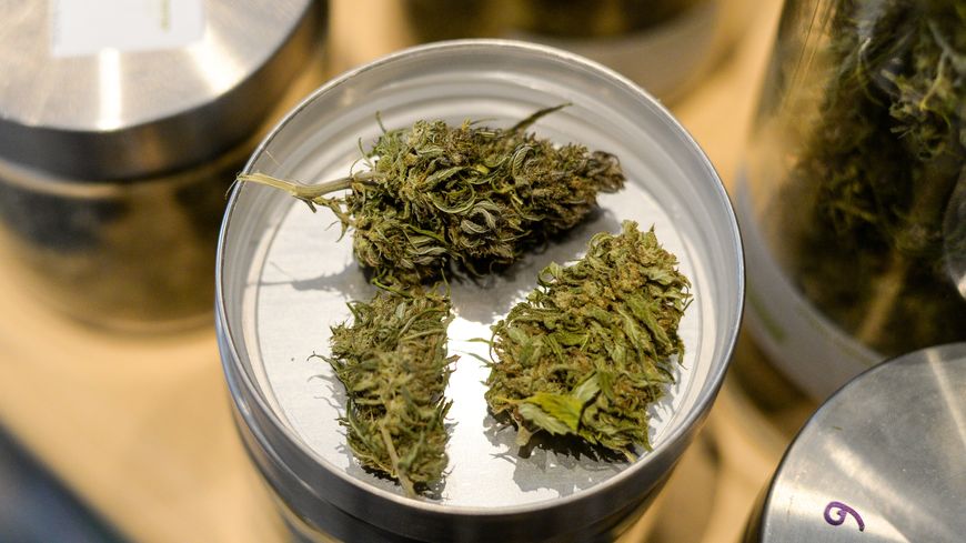 Des élus du Conseil de Paris souhaitent effectuer une expérimentation à Paris sur l'usage du cannabis récréatif