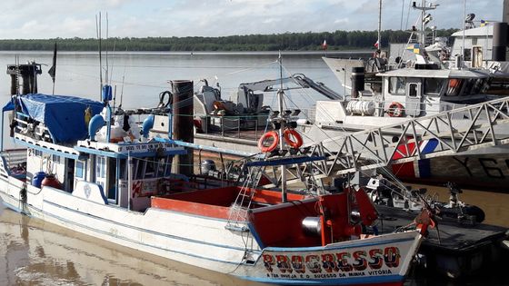 Le bateau brésilien Progresso arrété pour trafic de vessies natatoires en Guyane ©Radio France - Celia Quilleret