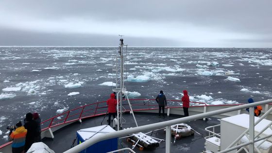 L'Astrolabe se rapproche des glaces antarctiques - Nicolas Martin