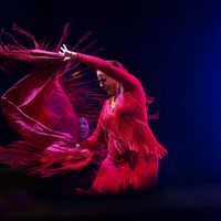 Luciana Carlin groupe "Alma Gitana"