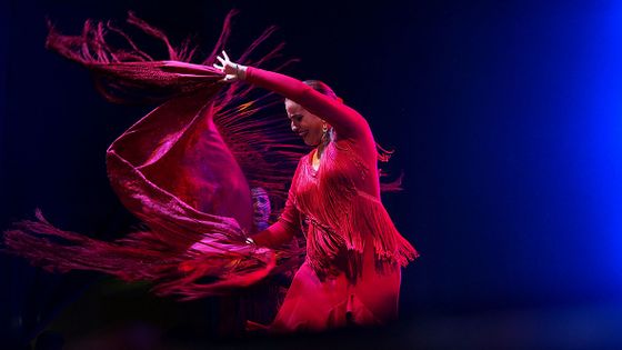 Luciana Carlin groupe "Alma Gitana" ©Getty - Fotoholica Press