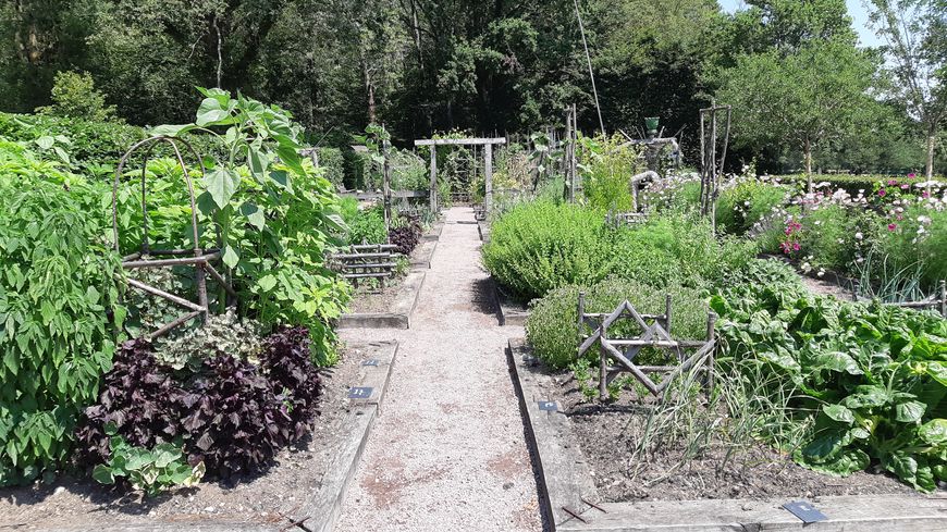 Un potager à déguster sur place.