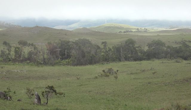 Entre Brésil et Venezuela, le territoire des Pemons