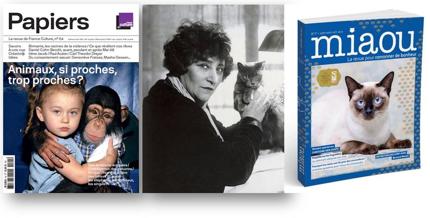 L Homme Et Le Chat Dans L Histoire France Culture