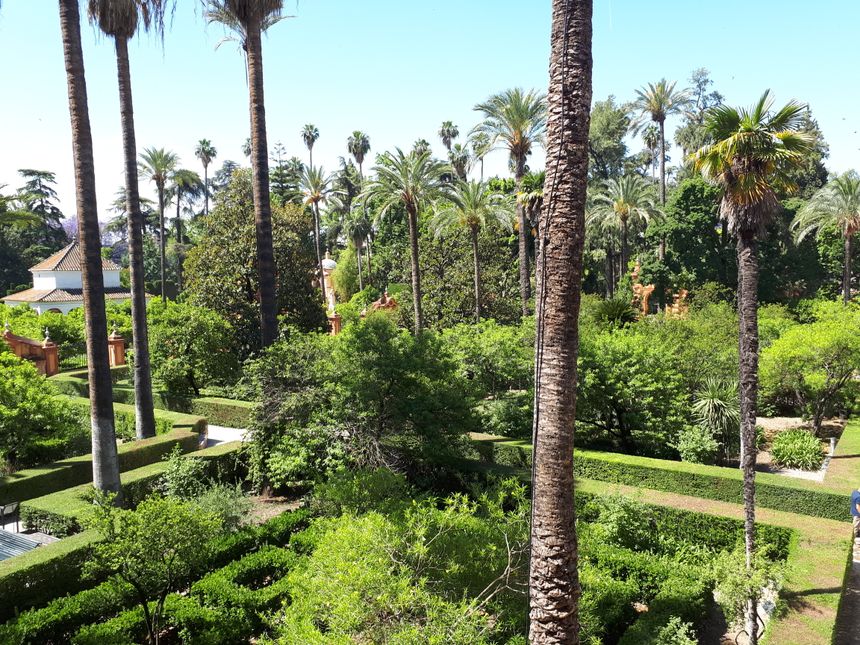 Les jardins de l'alcazar de Séville. Un lieu culte pour les fans de la série.