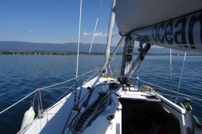 Malgré les apparences, le lac Léman est presque aussi pollué, en proportion, que la mer Méditerrannée Malgré les apparences, le lac Léman est presque aussi pollué, en proportion, que la mer Méditerrannée