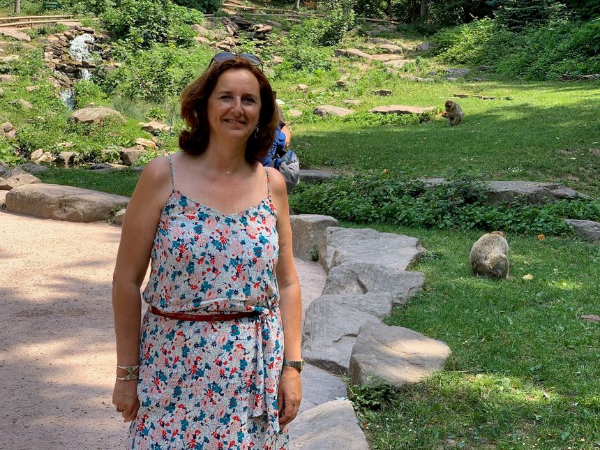 Kintzheim, Marielle Wies, Montagne des singes