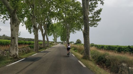 Lætitia Bernard, non-voyante, réalise l'intégralité des étapes du Tour de France en tandem ! ©Radio France - Nicolas Mathias