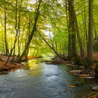Rivière