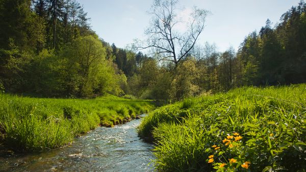 L'Agenda de l'été du lundi 22 juillet 2019 : les perles du Bach