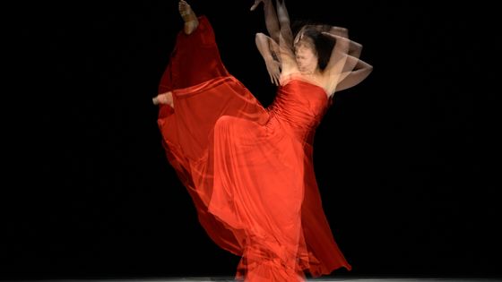 Tanztheater Wuppertal PINA BAUSCH : "Like moss on a Stone" at Sadlers Wells, London, 2016. Thusnelda Mercy ©Getty - Leo Mason/Popperfoto