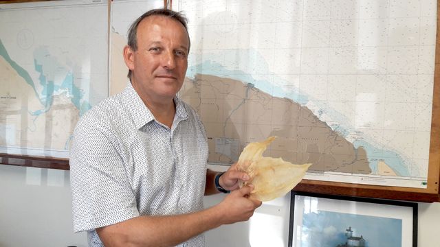 Bruno Morin, administrateur des affaires maritimes à Cayenne, tient des vessies natatoires séchées