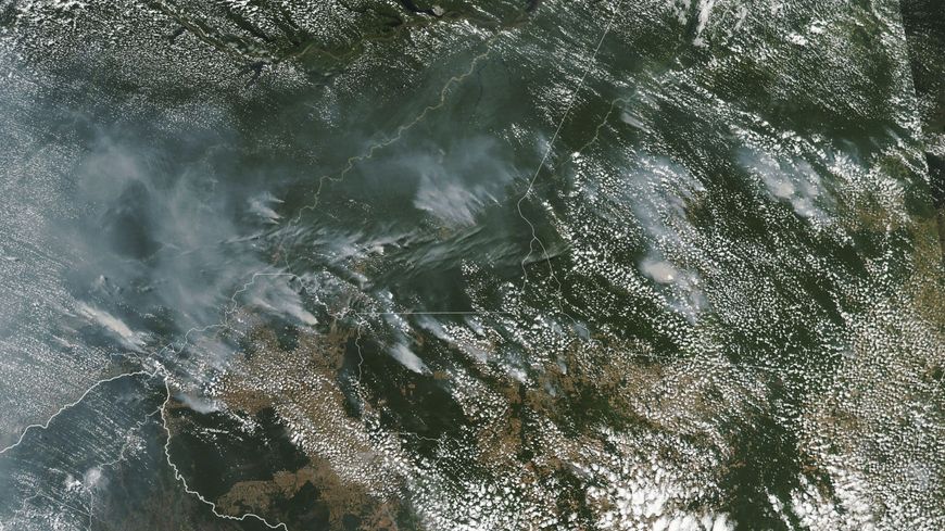 Les feux de forêt ont augmenté de 83% en raison des effets conjugués de la déforestation et de la sécheresse.