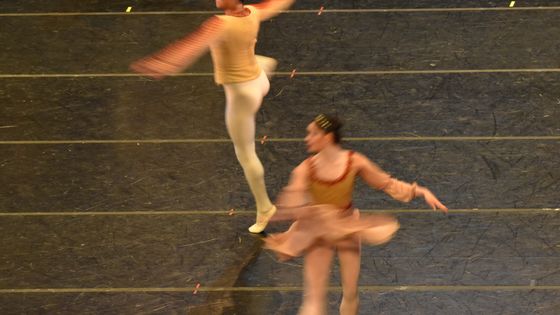 Focus sur les danseurs de ballet mexicain ! Ici, une répétition du Lac des Cygnes au Palacio de Bellas Artes. ©Getty - Carlos Tischler