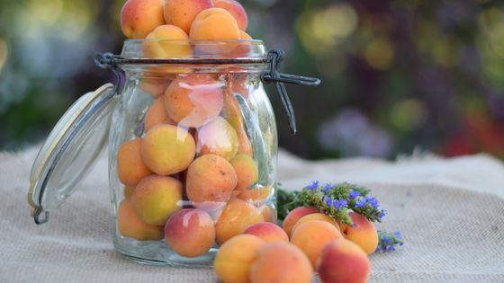 Des abricots pour accompagner vos repas d'été ©Getty - Elena Pejchinova