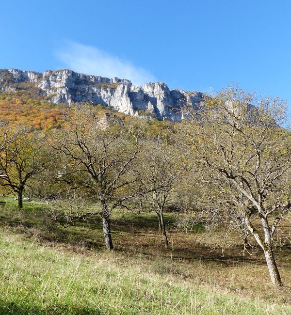 Rivière du Royans.