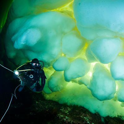 Alban Michon raconte une plongée sous-marine au cœur de l’Arctique