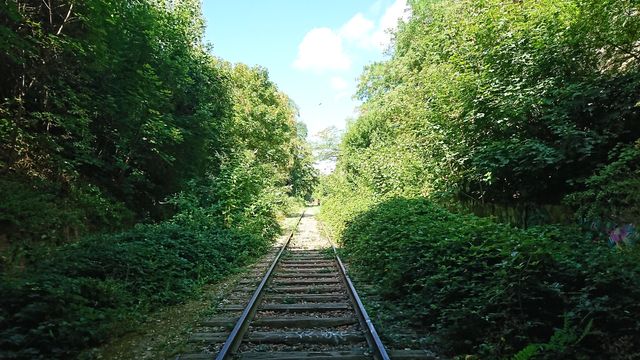Les lieux d'explorations sont souvent abandonnés par l'Homme et en pleine nature