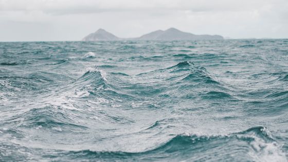 "Les soleils mouillés De ces ciels brouillés Pour mon esprit ont les charmes Si mystérieux De tes traîtres yeux, Brillant à travers leurs larmes." l'Invitation au Voyage - Charles Baudelaire - Mandy Martin