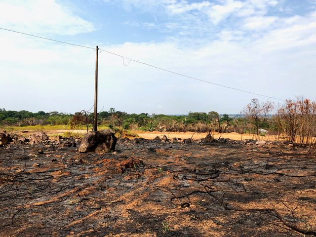 Dans la région du Rodondia, au Brésil, la terre porte les stigmates des flammes