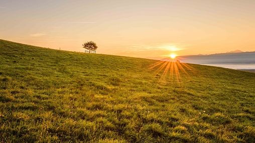 Vue panoramique du champ dans le ciel au coucher du soleil ©Getty - Taken In France, P_ron